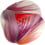 Tulip Mania Rug MOOOI Red Shell S220153