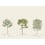 Papier peint panoramique Arbustes Naturel Isidore Leroy 450x330 cm - 9  lés - Parties ABC A-B-C