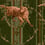 Mountain Dogs Velvet Mindthegap Cypress Green FB00098