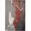 Tapis Bridge Serge Lesage Acajou SLHABRIACA170240