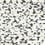 Capiz Offering Wallpaper York Wallcoverings Black/White CC1201
