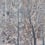 Pluvisilva silk Panel Tres Tintas Barcelona Silk MS3903-3