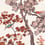 Papier peint panoramique Camélia Le Grand Siècle Terracotta PPC-BAMB-TERR-SM-263.5x250 cm