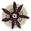Teppich Botanica 4 Missoni Home Prune 4H4TA99014/04
