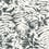 Fern Wallpaper Little Greene Off black 0281Feoffbl – Off Black