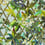 Canopy Wallpaper Christian Lacroix Céladon PCL661/06