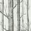 Carta da parati Woods Cole and Son Blanc cassé 69/12147