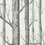Papel pintado Woods Cole and Son Blanc cassé 69/12147