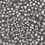 Fern MissPrint Wallpaper MissPrint Noir MISP1168