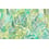 Panoramatapete Find Jaguars Coordonné Green 4800072