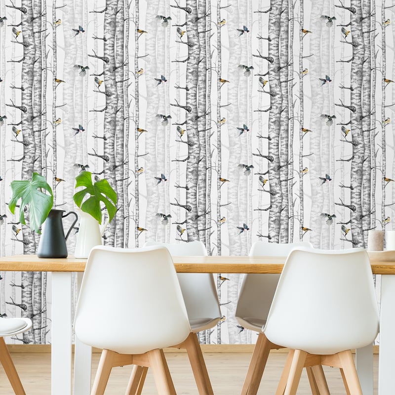 Birch Trees Wallpaper - Coordonné